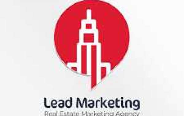 Lead Marketing Excellence: Driving Conversions and Revenue