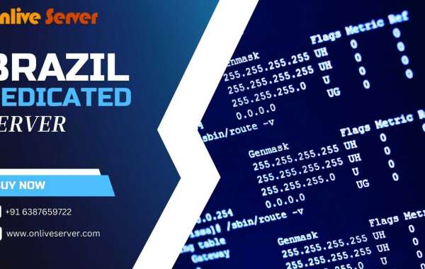 Brazil Dedicated Server: A Powerful Hosting Solution for Your Business