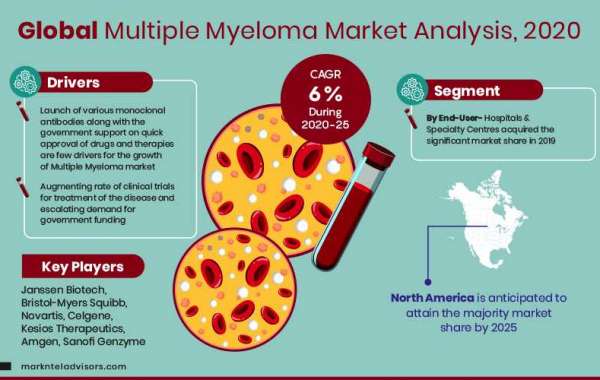 Unlocking Insights: Multiple Myeloma Market Share and Size Trends for 2025