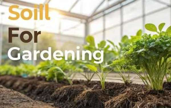 Soilless Soil for Gardening in Home and Urban Spaces