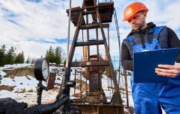 Petrophysics Courses Explained: What to Expect and How to Succeed