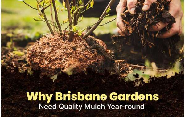 Five Rivers Landscaping – Expert Landscape and Gardening Services in Brisbane