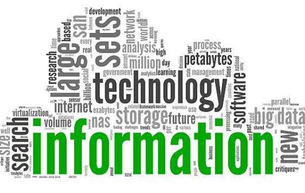 Information Technology Essay Impact and Importance