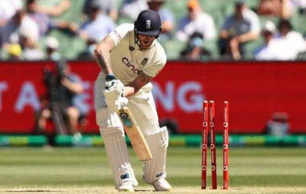 Tigerexch VIP Insights How Tigerxplay & Tigerinsightx Enhance IPL Viewing Experience
