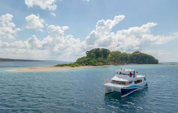 Catamarans for Sale: Types, Features, and Buying Guide for Modern Marine Businesses