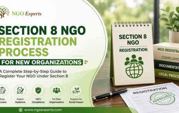 Section 8 Company Registration Process: A Complete Guide by NgoExperts