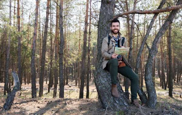 Forest Management in Vermont: Supporting Healthy Forests and Wildlife