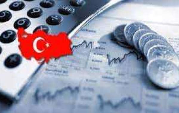 Turkey Economy and Financial System Overview