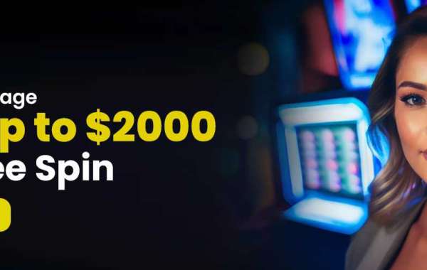 How Trybet Casino Cashback Incentives Enhance Digital Entertainment for New Zealand Players