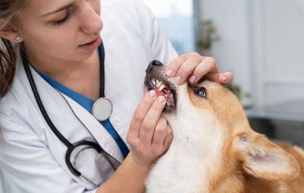What is Fenbendazole 444 Mg Used for?