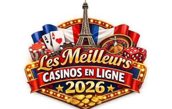 Régulation et Perspectives d'Avenir du Marché Numérique en France