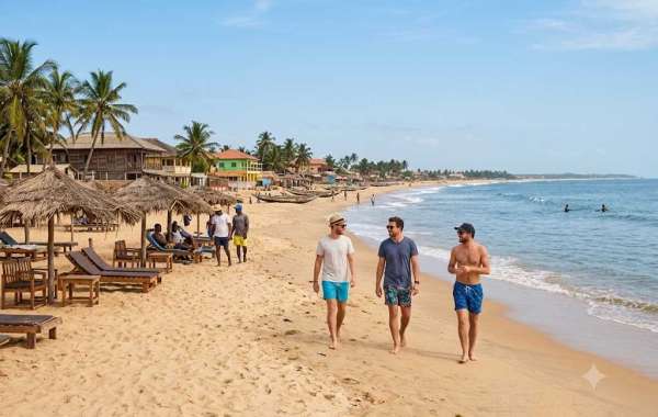 Easy Process for Getting a Benin Tourist e-Visa Online