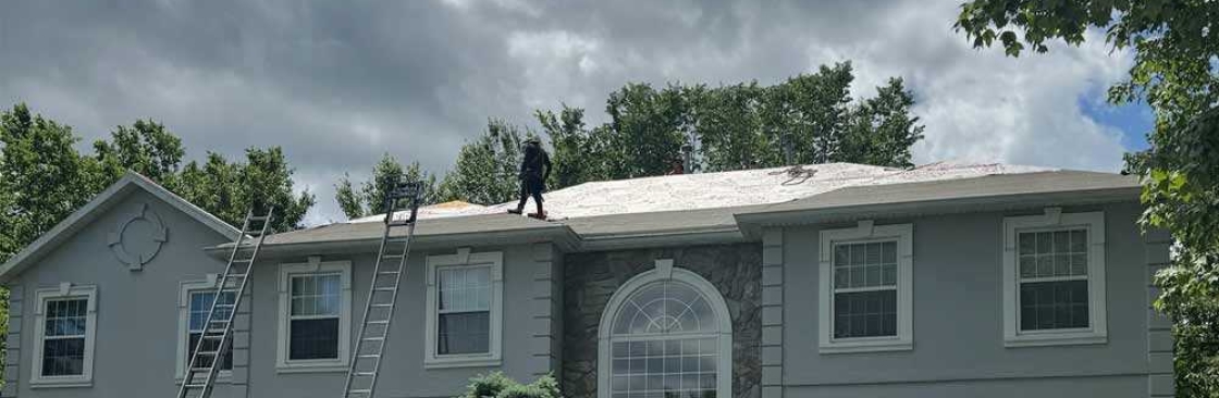 Roof Shark Cover Image