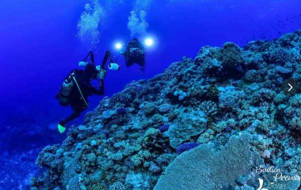 scuba diving  New Caledonia