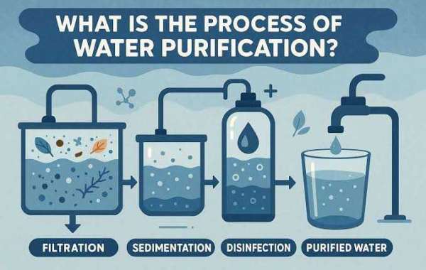 Comprehensive Guide to Residential Water Purification and Conditioning