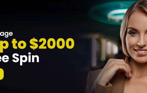 Quick Decision Trybet Frameworks for Live Blackjack Canada