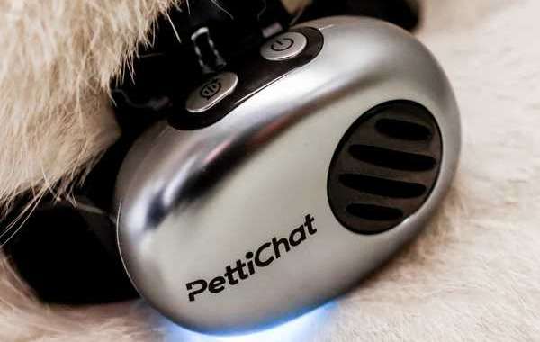 10 Pet Products Every Dog and Cat Owner Should Have