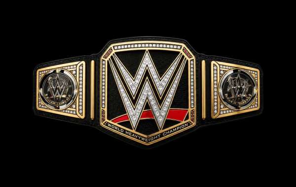 UFC Belt Guide for Fans and Championship Collectors