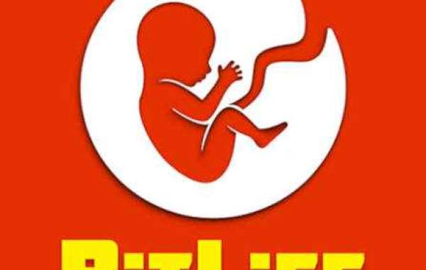 How to Experience BitLife: The Ultimate Text-Based Life Simulator