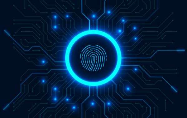 How Does Wireless Network Testing Improve Organizational Security?