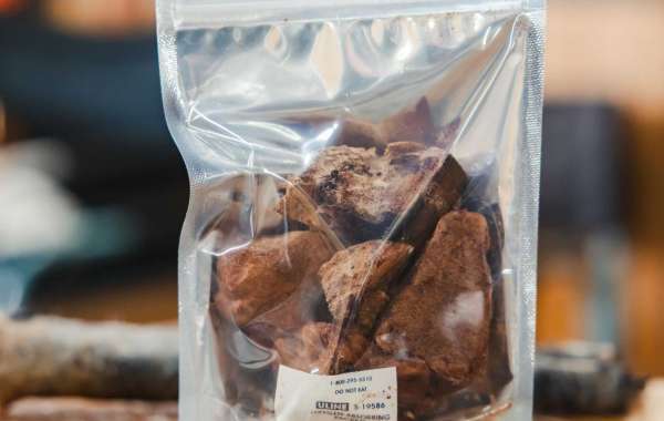 Homemade Healthy Dog Food: A Practical Guide for Pet Parents