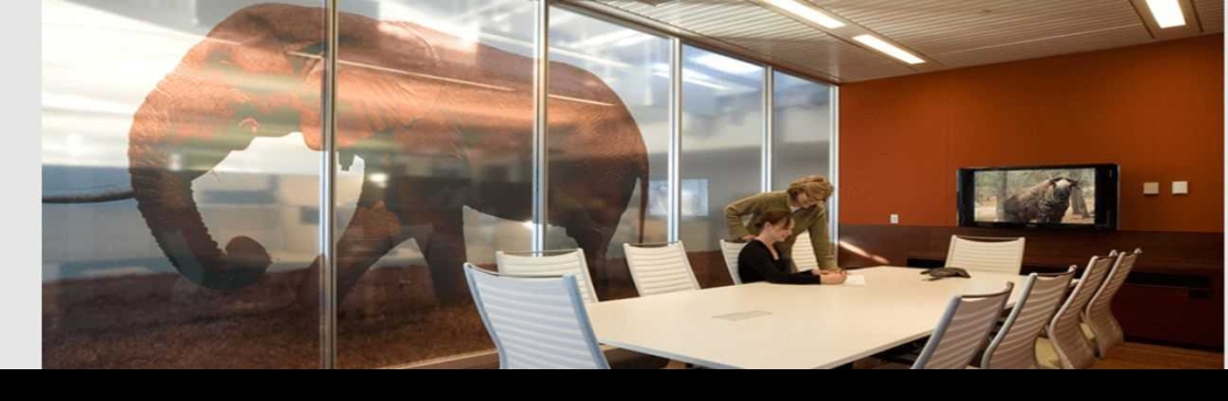 Leslie Saul Associates Cover Image