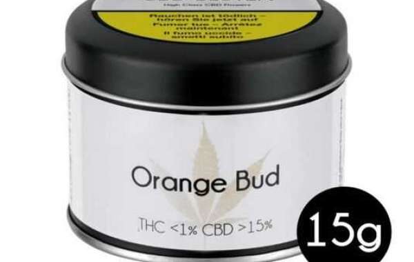 Orange Bud 2026: Was macht diese CBD-Blüte so besonders?