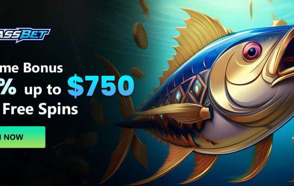 Bassbet Casino What to Check Before You Play Online