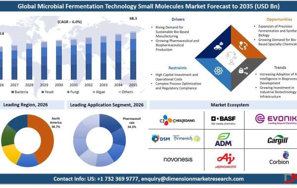 Microbial Fermentation Technology Small Molecules Market Report 2026 to 2035