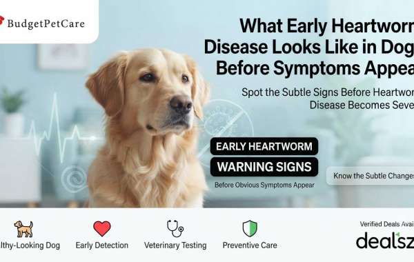 What Early Heartworm Disease Looks Like in Dogs Before Symptoms Appear