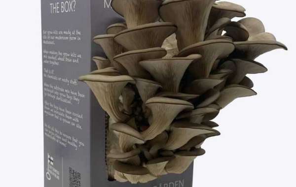 Printed Mushroom Boxes To Showcase Organic Harvests