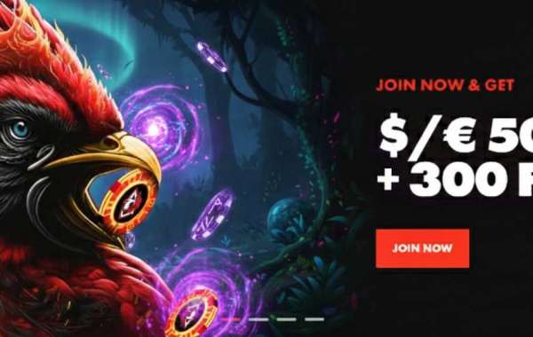 Roosterbet Modern Online Pokies Features New Zealand Players Appreciate