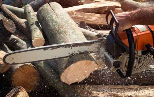 Reliable Tree Removal Solutions for Properties in Midtown Mobile, AL