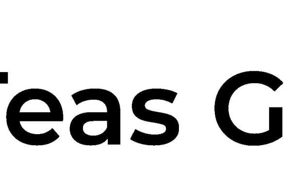 Algebra topics on the TEAS