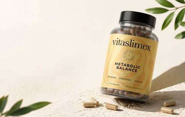 Vitaslimex Ingrédients : Composition et Informations à Connaître