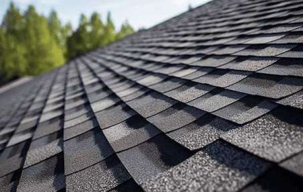 Affordable Roof Replacement: Smart Ways to Protect Your Home and Save Money
