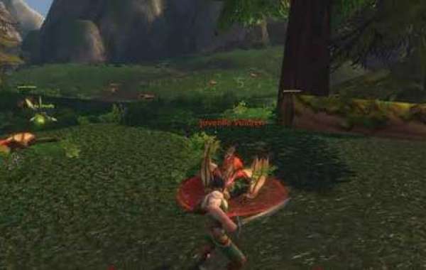 WoW Forever Alliance Dungeon Planning With U4GM