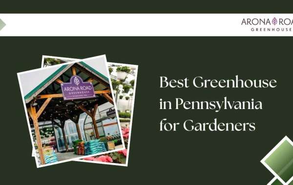 Best Greenhouse in Pennsylvania for Gardeners