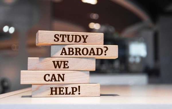 Why Do Students Choose a Germany Consultant in Karachi for Guidance?