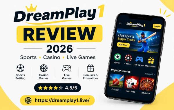 7 Different Types of Games that Individuals Can Play at DreamPlay1
